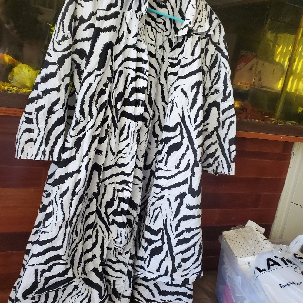 Dress - Picture 3 of 4